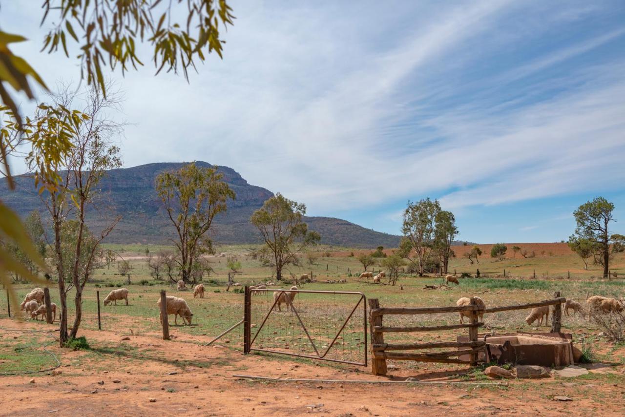 Hotel Rawnsley Park Station Flinders Ranges Exterior foto